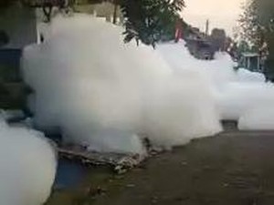 Busa Bak Awan Kembali Bikin Heboh Warga Pasuruan