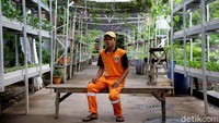 Kegiatan bercocok tanam tersebut turut memberikan penghasilan tambahan bagi Dhamiri di sela-sela aktivitasnya sebagai Petugas Penanganan Prasarana dan Sarana Umum (PPSU).