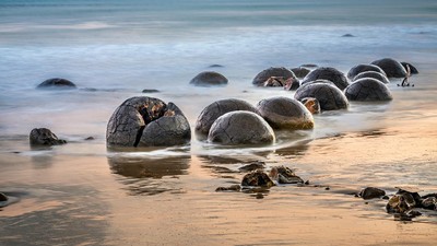 Unik Nih, di Pantai Selandia Baru Ada Telur Naga