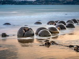 Unik Nih, di Pantai Selandia Baru Ada Telur Naga
