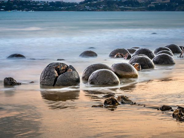 Unik Nih, di Pantai Selandia Baru Ada Telur Naga