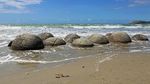 Unik Nih, di Pantai Selandia Baru Ada Telur Naga