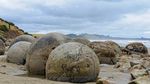 Unik Nih, di Pantai Selandia Baru Ada Telur Naga