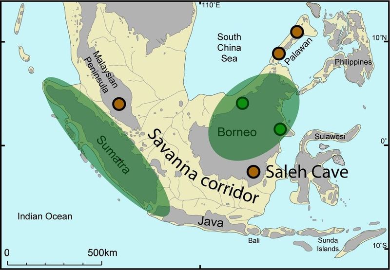 Savana di Sundaland di Zaman Es