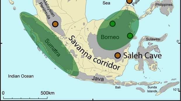 Savana di Sundaland di Zaman Es