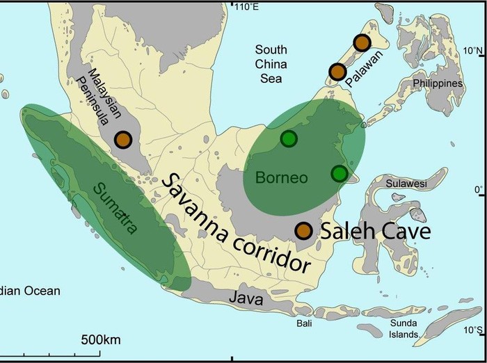 Savana di Sundaland di Zaman Es