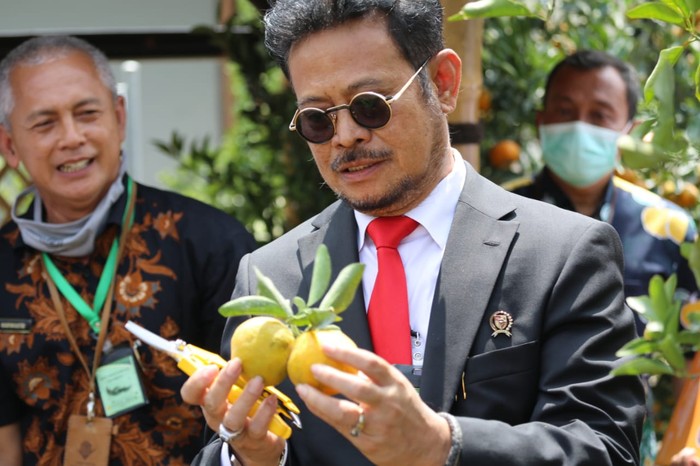 Syahrul Yasin Limpo