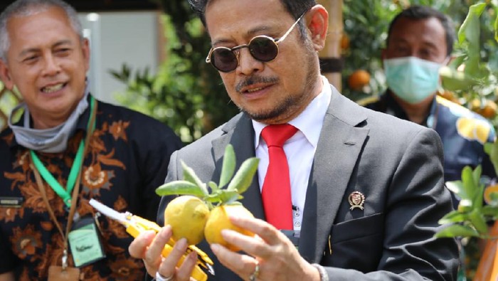 Syahrul Yasin Limpo