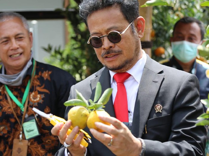 Syahrul Yasin Limpo