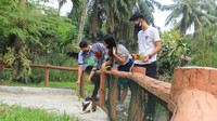 Selain itu peserta tur akan mendapatkan program menanam tanaman hias dan kegiatan memberi makan hewan ternak (feeding). Tanggal 15-17 Agustus ini program Garden Drive Thru edisi panen belimbing langsung di kebun.  
