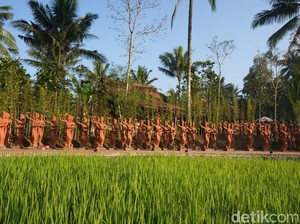 Untuk Agus, Ada Tiket Wisata dan Makan Gratis di Banyuwangi
