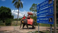 Kamp Gajah Maesa telah berjuang untuk mendapatkan daya tarik sejak dibuka kembali.