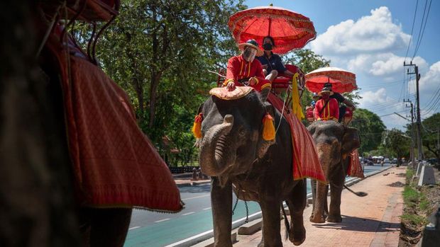 Kamp gajah di Chiang Mai, Thailand, kini telah dibuka kembali untuk para wisatawan. Hal itu menjadi harapan kepada para gajah dan pelatih untuk tetap bertahan.