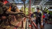 Pariwisata menyumbang 15 persen dari PDB Thailand dan provinsi Chiang Mai di Thailand utara biasanya dikunjungi hampir 10 juta pengunjung asing setiap tahunnya.
