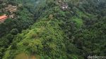 Menikmati Segarnya Udara di Campuhan Ridge Walk Bali