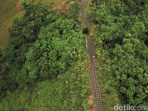 Nikmati Pengalaman Baru di Campuhan Ridge Walk