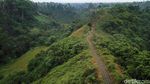 Keren! Ubud Masuk Daftar Kota Wisata Terbaik di Dunia