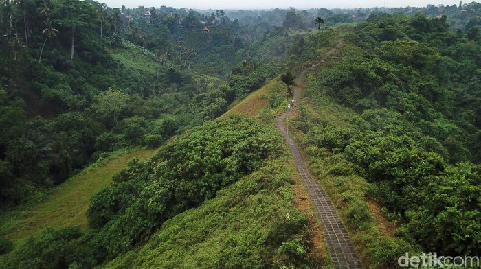 Suasana tenang dan asri tampak terlihat di Campuhan Ridge Walk, Ubud, Gianyar, Bali, Beberapa waktu lalu.