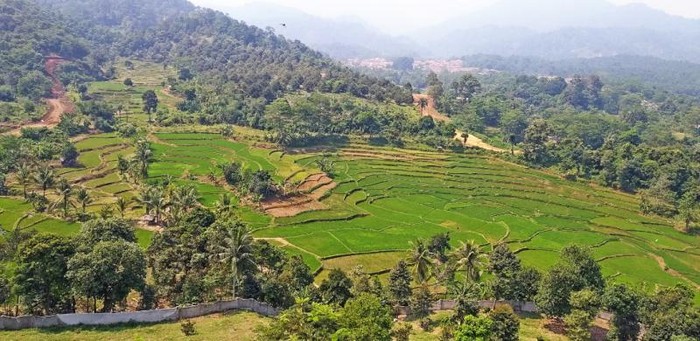 Segarnya Udara Pagi di Gunung Leutik Bogor
