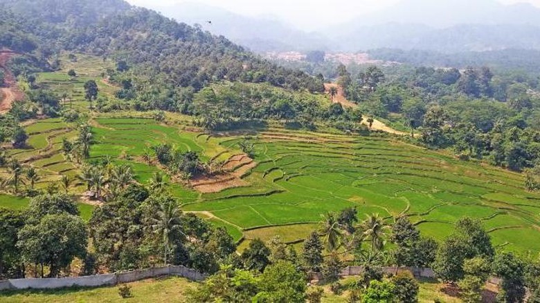 Segarnya Udara Pagi di Gunung Leutik Bogor Segarnya Udara Pagi di Gunung Leutik Bogor