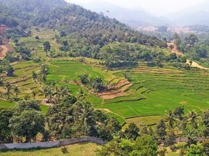 Segarnya Udara Pagi di Gunung Leutik Bogor