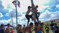 Lomba panjat pinang seperti disebutkan dalam buku Indonesia Poenja Tjerita oleh @sejarahRI, disebutkan berawal dari zaman penjajahan Belanda. ( Antara Foto)
