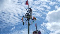 Seorang anak melepaskan bendera merah putih saat berhasil memanjat batang pohon pinang dalam lomba panjat pinang kemerdekaan di Kalimantan Tengah. ANTARA FOTO/Makna Zaezar.