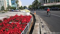 Tak hanya bunga berwarna putih, bunga berwarna merah juga terlihat mempercantik kawasan Bundaran HI menjelang perayaan Hari Kemerdekaan Indonesia pada 17 Agustus mendatang. 