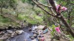 Foto: 8 Tempat Wisata di Bogor yang Keren Abis!
