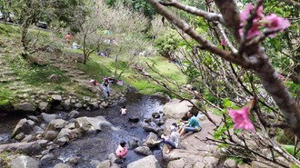 Wisata Alam Favorit di Puncak Ini Tetap Ramah Kantong, Tiketnya Tak Naik