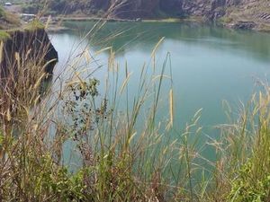 Selamat Pagi dari Danau Cantik Bogor