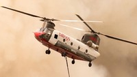 Helikopter ini punya daya jelajah hingga 426 kilometer dan punya kecepatan maksimum 265 km/jam. Chinook CH-47D memiliki berat kosong 10.615 kg dan bisa membawa muatan hingga 11.340 kg. Helikopter ini bisa menampung 2 kru dan 33 anggota pasukan. Foto: Billings Flying Service