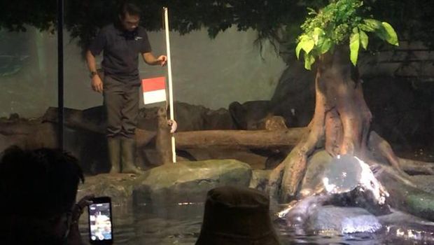 Jakarta Aquarium 17 Agustus.