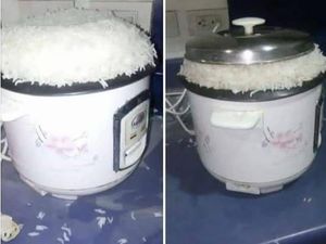 Soekarno Pesan Sate Ayam hingga Cerita Kocak Netizen Masak Nasi