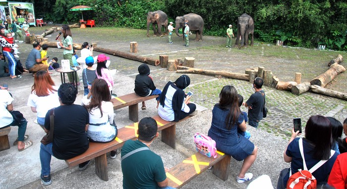 Sejumlah objek wisata di kawasan Bogor ramai dikunjungi wisatawan saat libur panjang. Salah satunya Taman Safari Indonesia Bogor.
