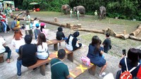 Sejumlah pengunjung menyaksikan edukasi satwa gajah Sumatera di Taman Safari Indonesia (TSI), Cisarua, Kabupaten Bogor, Jawa Barat, Minggu (16/8/2020).