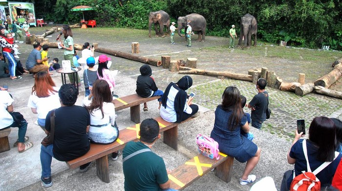 Sejumlah objek wisata di kawasan Bogor ramai dikunjungi wisatawan saat libur panjang. Salah satunya Taman Safari Indonesia Bogor.