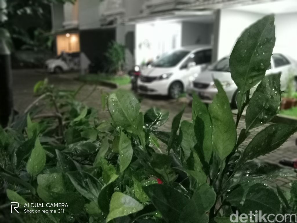 Realme C11