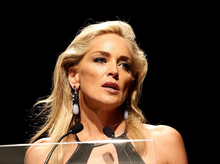 Sharon Stone MILAN, ITALY - SEPTEMBER 22: Sharon Stone attends the amfAR Milano 2012 Dinner during Milan Fashion Week at La Permanente on September 22, 2012 in Milan, Italy. (Photo by Vittorio Zunino Celotto/Getty Images)