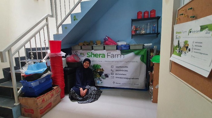 Urban Farming/Dok Shera Farm