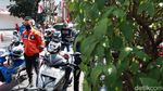 Detik-detik Pengendara Ambil Sikap Sempurna di Jalan Merdeka