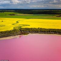 Foto drone Johan Vandenhecke