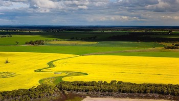 Untuk melihat keindahan lain yang diabadikan Johan Vandenhecke bisa mengunjungi akun Instagramnya di sini. Foto: Johan Vandenhecke via Daily Mail
