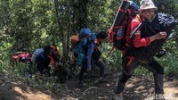 Gunung Cikuray tercatat sebagai gunung tertinggi keempat di daerah Jawa Barat setelah gunung Gede, Pangrango dan Ceremai.