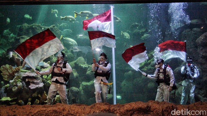 Dalam rangka memperingati HUT RI, kawasan wisata terpadu Taman Impian Jaya Ancol melakukan pengibaran bendera. Merah Putih tersebut berkibar di akuarium Sea World.