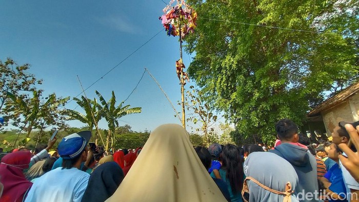 Panjat pinang waria di Kudus