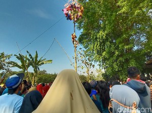 Abaikan Kondisi Pandemi, Warga Malah Bikin Lomba Panjat Pinang Waria