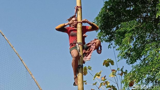 Panjat pinang waria di Kudus