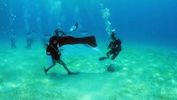 Sama seperti tahun-tahun sebelumnya, tujuan utama ini adalah untuk mengajak masyarakat mencintai dan menjaga laut Indonesia, karena tanah air Indonesia adalah negara maritim dengan sumber kekayaan lautnya yang harus dijaga. (dok. WASI)
