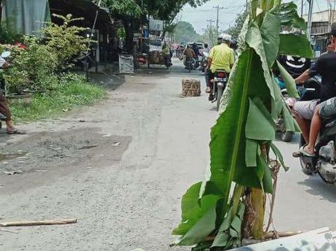 Screenshot foto viral jalan rusak di Medan ditanami warga pohon pisang